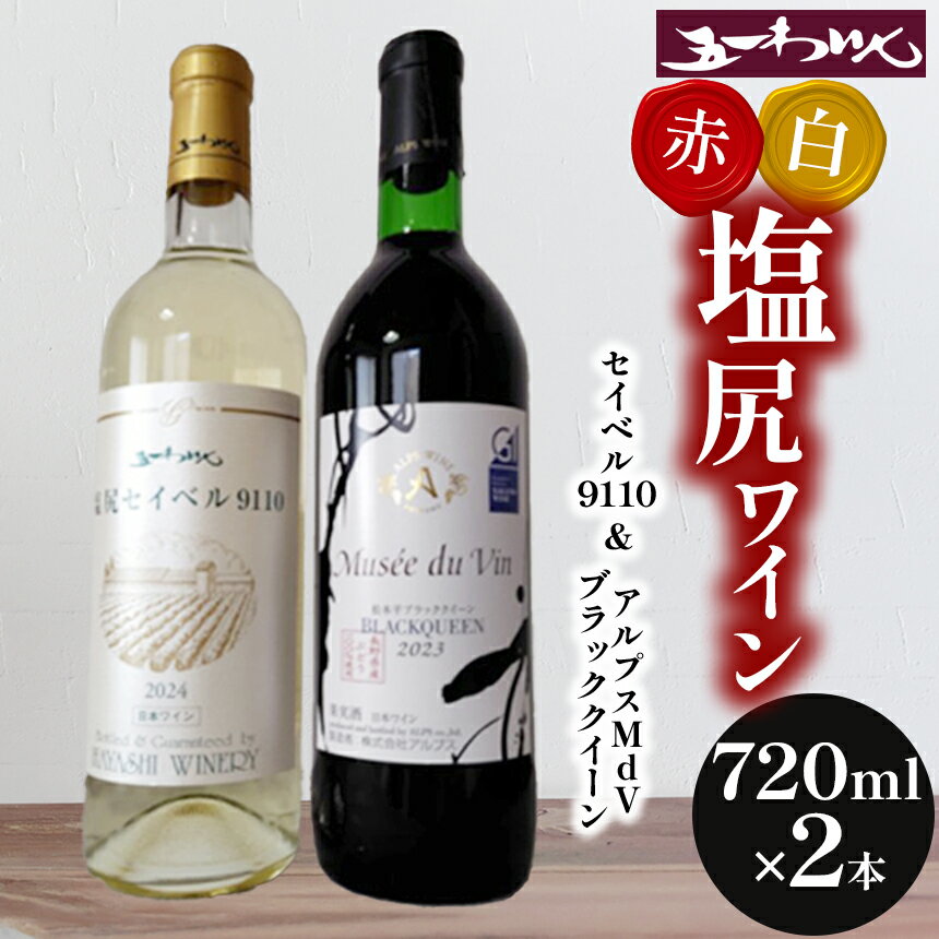 【ふるさと納税】五一わいん セイベル9110 ＆ アルプスMdVブラッククイーン 2本セット | ワイン わいん 赤ワイン 白ワイン 五一わいん アルプス セイベル ブラッククイーン お酒 おさけ 酒 さけ セット 飲み比べ 塩尻市 長野県 信州
