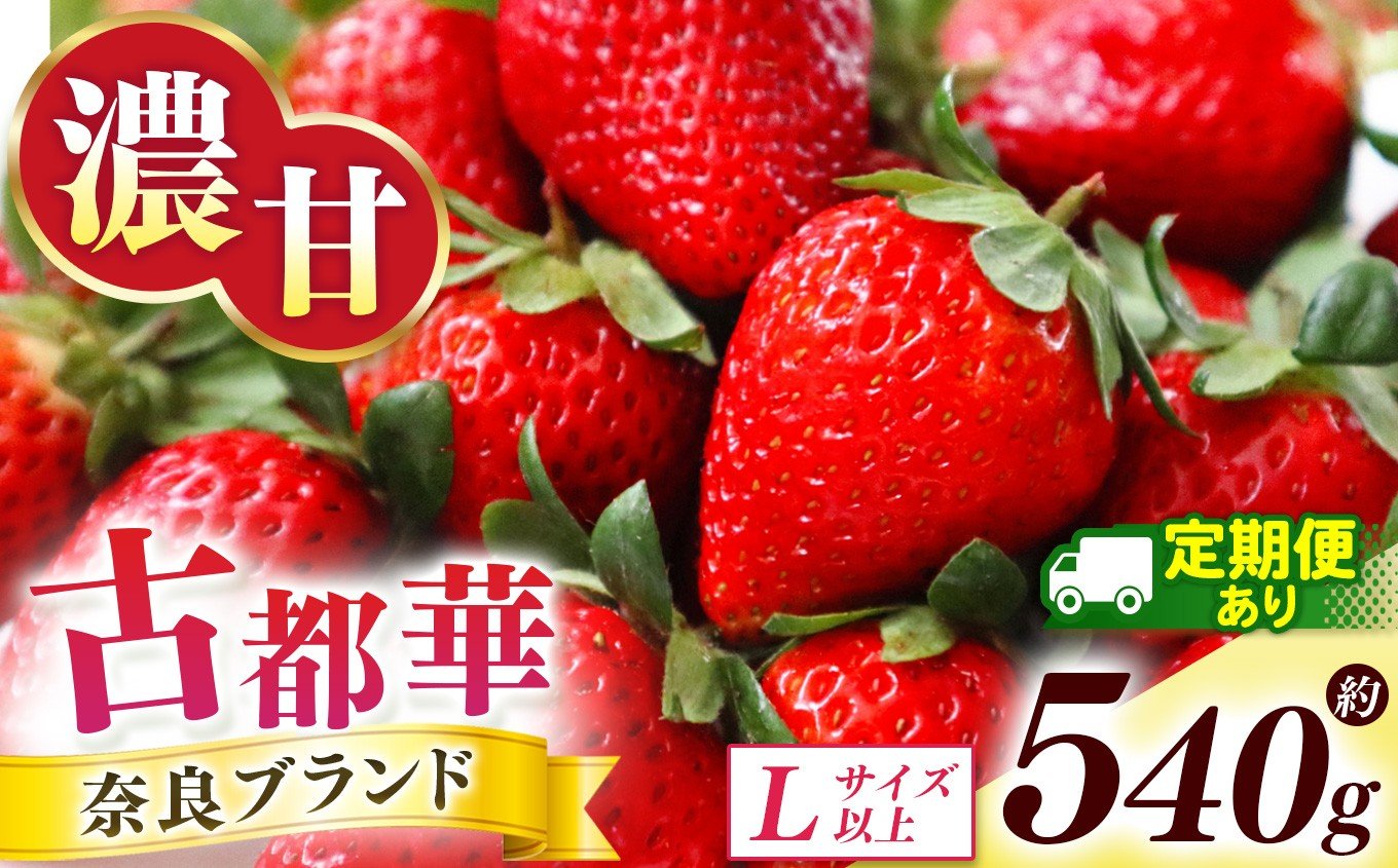 
                  定期便 も選べる！ 古都華 約540g （270g×2P）Lサイズ以上  |  【 定期便 2回 】 フルーツ くだもの 果物 いちご イチゴ ことか コトカ 古都華 苺 フレッシュ 果実 新鮮 ブランド苺 ストロベリー 冷蔵 希少 逸品  品種 旬 2月  産地直送 農家直送 お取り寄せ 送料無料 グルメ 芳醇な香り 西岡農園 奈良県 五條市
                