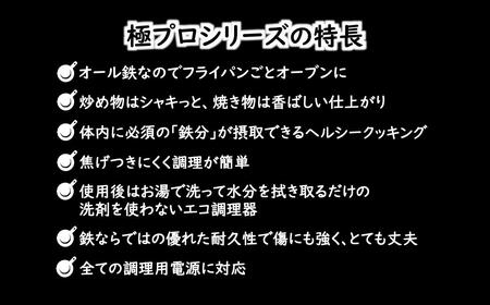 鉄フライパン 20cm 極PRO オール鉄 リバーライト 錆びにくい 焦げ付きにくい お手入れ簡単 IH対応