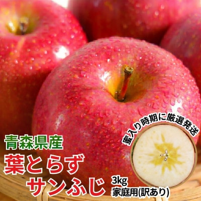 11-12月 蜜入り時期に厳選 発送! 青森県産 りんご 訳あり 葉とらずサンふじ 家庭用 約3kg【配送不可地域：沖縄県】