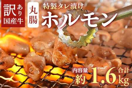  【訳あり】国産牛ホルモン丸腸（特製タレ漬け）　計1.6kg(400g×4袋)選べる 内容量 国産牛ホルモン 国産 牛肉 肉 ホルモン モツ 丸腸 マルチョウ 冷凍 焼肉 焼き肉 BBQ もつ鍋 煮込み 小分け 焼くだけ 簡単 タレ漬け おつまみ