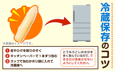 極甘とうもろこし ピーターコーン 20本 特大サイズ(1本380g以上) 高橋賢三【先行予約】《2026年8月上旬-9月中旬頃出荷》 とうもろこし トウモロコシ 北海道とうもろこし 朝採れとうもろこし
