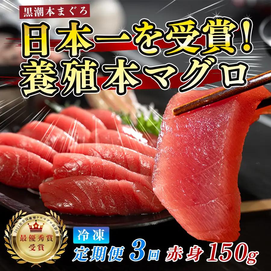 まぐろ マグロ 本鮪 黒潮本まぐろ 赤身 定期便 3回 150g × 3回 刺身 柵 冷凍 産地直送