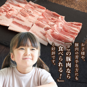 【ふるなび限定】クリスタルポーク焼き肉2kg