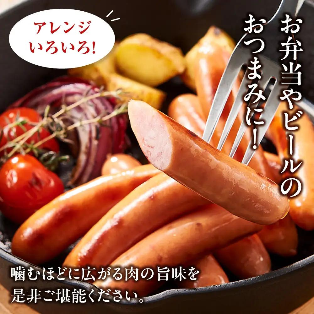 【大容量１kg！】【ふるさと納税限定】和豚もちぶた使用ウインナー ｜ ウインナー 惣菜 おかず