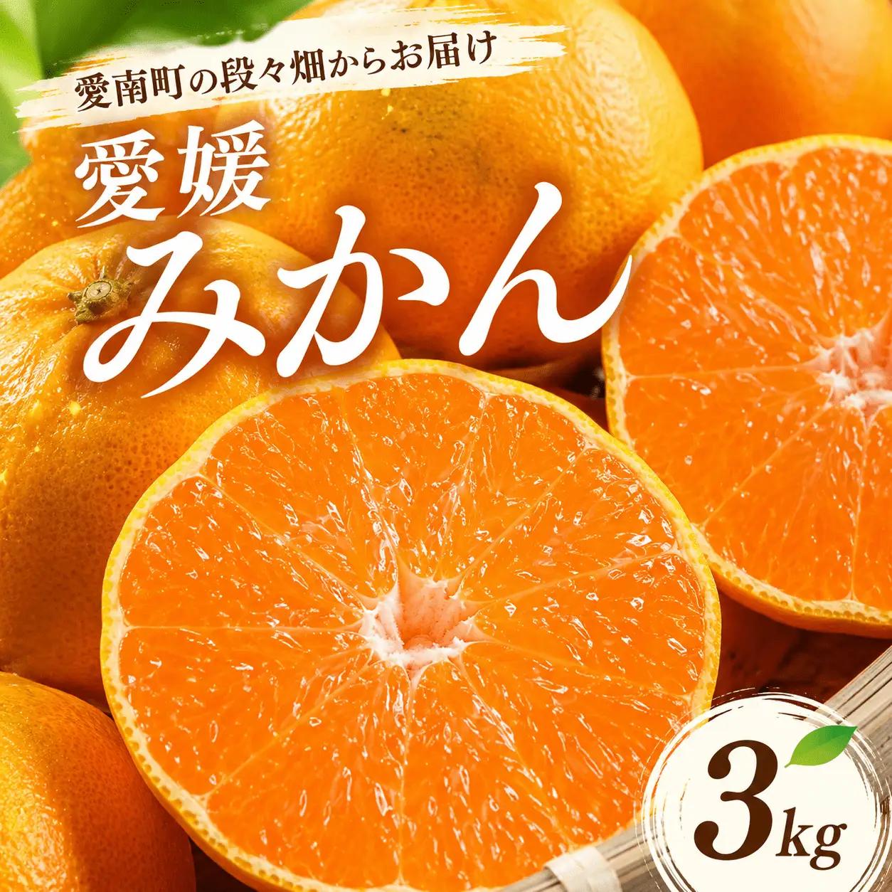 先行予約 愛媛みかん 3kg 温州みかん 柑橘 お歳暮 岡平農園 愛媛 愛南