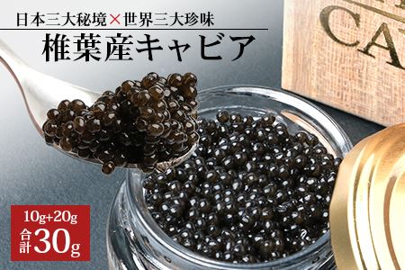 【桐箱入り】HEIKE CAVIAR 30ｇ 【宮崎県 椎葉村】キャビア チョウザメ 【世界三大珍味×日本三大秘境】