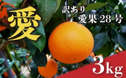 愛果28号 (紅まどんな と同品種) 訳あり ご家庭用 3kg あいか 愛媛 みかん 【2026年1月上旬から発送】 |  紅まどんな と同品種 柑橘 みかん まどんな ワケアリ 柑橘 みかん 果物  おすすめ 高級 人気 お取り寄せ グルメ ギフト ご当地 送料無料 愛媛県 松山市
