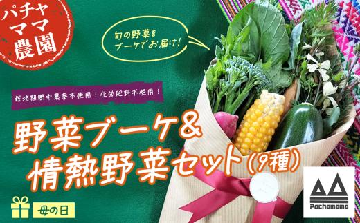 【 母の日用 】野菜ブーケ ＆ 情熱野菜 セット（ 9品 ）【 贈答用 野菜 ブーケ 詰め合わせ お任せ 季節物 セット ギフト プレゼント 】 