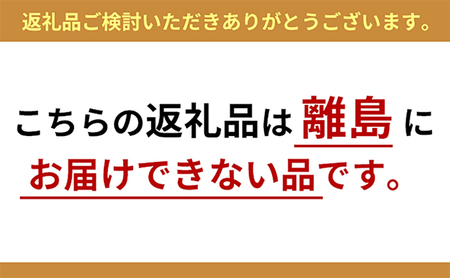 倭イズム 鹿革紳士靴　YA3300　ブラック 23.5cm