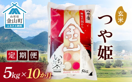 《定期便》金山産米「つや姫【玄米】」5kg×10ヶ月 計50kg 10ヶ月 米 お米 白米 ご飯 玄米 ブランド米 つや姫 送料無料 東北 山形 金山町 F4B-0497