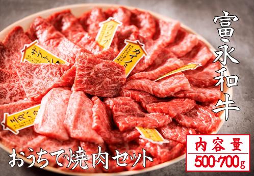 【自社農場和牛】富永和牛おうちで焼肉セット（国産 牛肉 和牛 赤身 霜降り 焼肉 BBQ 限定）