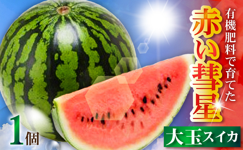 
            有機肥料で育てた大玉スイカ【赤い彗星】（1個入り）　M002-007
          