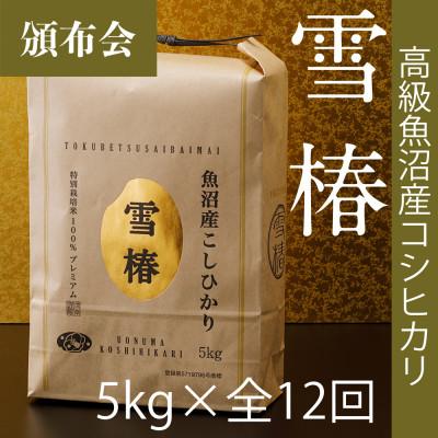 ふるさと納税 津南町 【毎月定期便】高級魚沼産コシヒカリ「雪椿」精米 5kg(5kg×1袋) 特別栽培米全12回