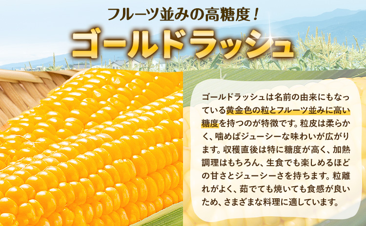 訳あり とうもろこし 約3kg 野木町産 老沼 利治《6月中旬-7月中旬頃出荷予定》栃木県 野木町 ジューシー 生食可能 旬の野菜 健康食 バーベキュー 焼き 茹で わけあり とうもろこし ゴールドラ