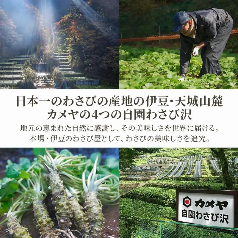 おろし本わさび 4本 山葵 ワサビ わさび