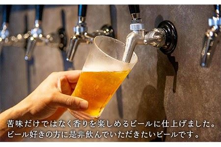 【全12回 定期便 】クラフトビール 地ビール  IPA 6本 【ISLAND BREWERY】 《 壱岐市 》[JED014] 204000 204000円