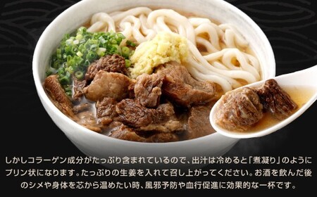 新味 白肉肉うどん 5食入 うどん 肉うどん うどん麺 麺 麺類 スープ付き 冷凍 福岡県 北九州市
