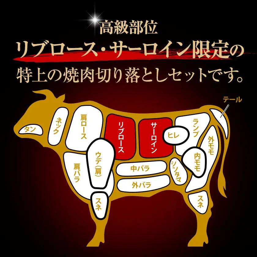 和牛 ロース 300g 和牛