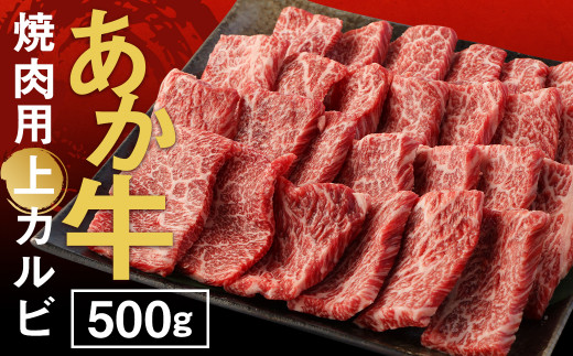  あか牛 焼肉用 上カルビ 500g GI 牛肉