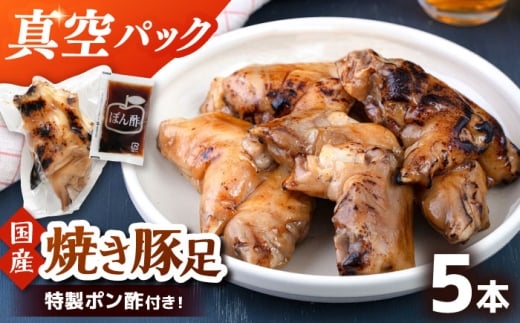 特製ポン酢付き！ぷるぷる国産焼き豚足　5本セット（130g×5p）桂川町/株式会社MEAT PLUS [ADAQ141]