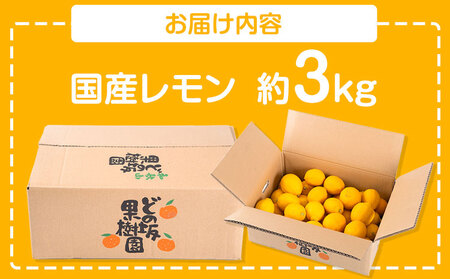 レモン 名産地からお届け! 国産 レモン 約 3kg (L～4Lサイズ)  ノーワックス 減農薬 どの坂果樹園《2024年2月上旬-5月末頃出荷》 レモン れもん 檸檬 和歌山県 日高川町 果物 柑橘