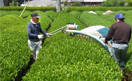 満田製茶　自家焙煎　特選ほうじ茶　たっぷり1kgセット