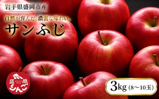 【先行予約】 サンふじ 3kg 12月発送  完熟 りんご  盛岡りんご 朝島観光りんご園 果物類 フルーツ デザート 果汁 甘い 酸味 バランス 林檎 リンゴ 果物 旬の果物 国産 産地直送 くだもの お取り寄せ 特産品 名産品 ご当地 朝食 おやつ 新鮮 蜜入り シャキシャキ 農家直送 岩手県 盛岡市 東北 岩手 盛岡 朝島観光りんご園 asashima006