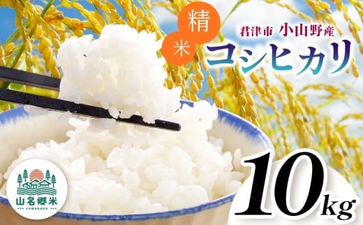 精米 令和7年産 君津市小山野産 コシヒカリ 10kg |  2週間以内に発送 メディアで紹介 ！ あかかげ農園 山名郷米 メディアで紹介 ！ 千葉稲作 こしひかり 千葉県産 むせんまい 米 コメ こめ お米 千葉県 君津市 きみつ