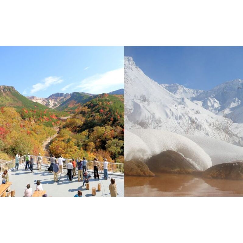 湯元凌雲閣 【 1泊朝食付 】 宿泊券 ホテル 旅館 旅行券 北海道 上富良野町 十勝岳_イメージ4