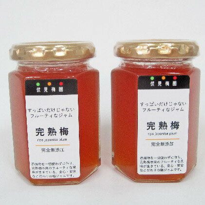 【ふるさと納税】完熟梅のジャムセットA　大（160g）を2つ