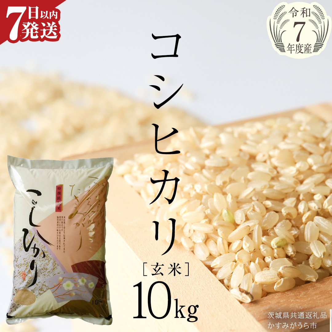 ≪ 令和7年度 ≫ コシヒカリ 玄米10kg（10kg×1袋）（茨城県共通返礼品 かすみがうら市産） 米 ごはん もっちり 甘い コメ お米 白米 銘柄米 [EX012sa]