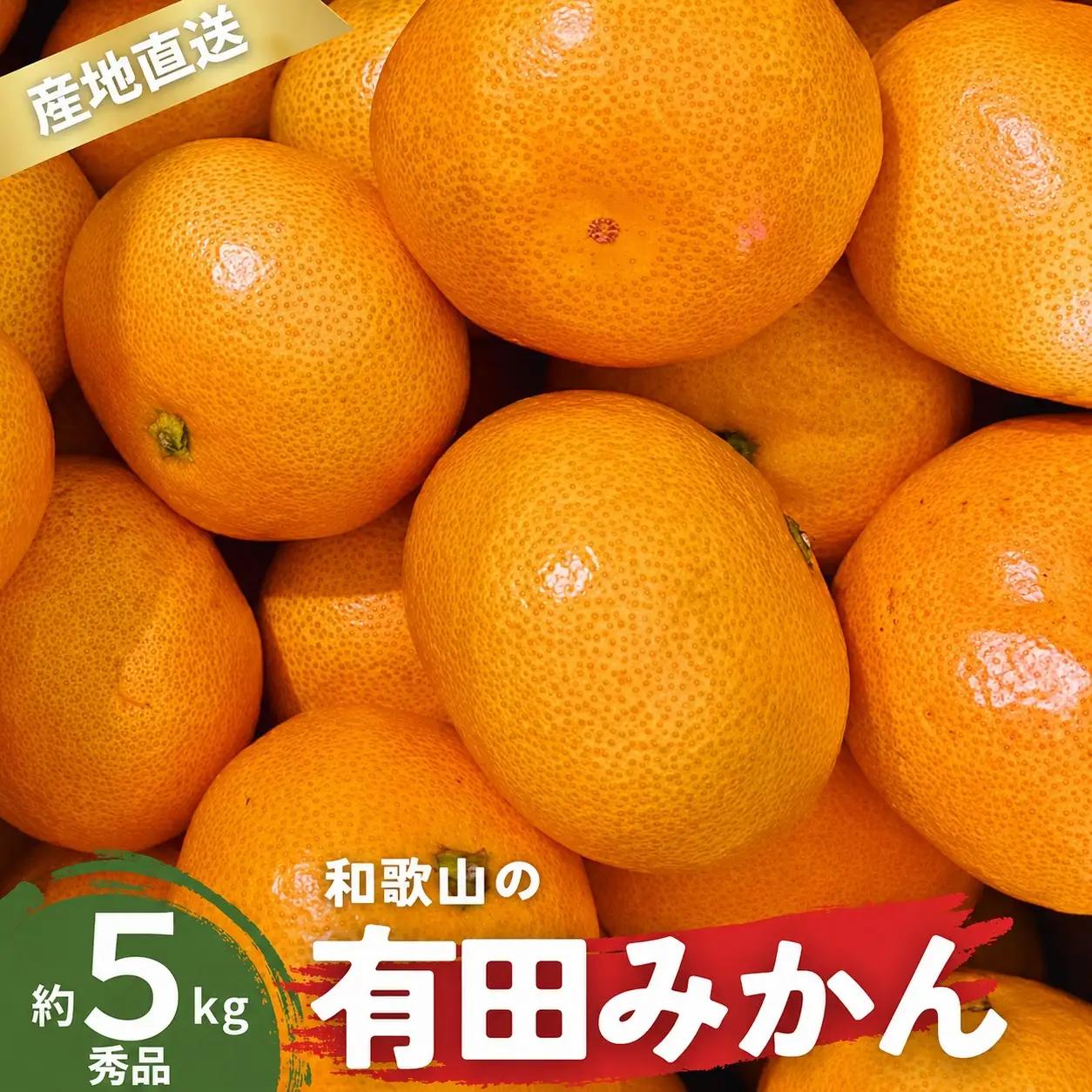 【12月発送】秀品 有田みかん 和歌山県産 S～Lサイズ 大きさお任せ 5kg / みかん フルーツ 果物 くだもの 有田みかん 蜜柑 柑橘【ktn002-12】