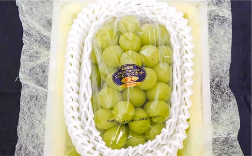 NEWS PAPER BAG（INDIGO）＋家庭用晴王 2房（1房約約530g以上）