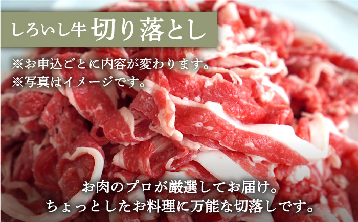 【牧場直送】人気返礼品セット！牛肉100%ふんわりロールステーキ 4個＆しろいし牛 切り落とし 1000g（500g×2パック）【有限会社佐賀セントラル牧場】 [IAH109]