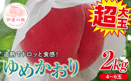 福島県産 ゆめかおり 2kg 新品種 2025年9月中旬～2025年9月下旬発送 2025年出荷分 先行予約 予約 極大玉 大きめ 固め 伊達の桃 桃 もも モモ 果物 くだもの フルーツ 国産 食品  F20C-372