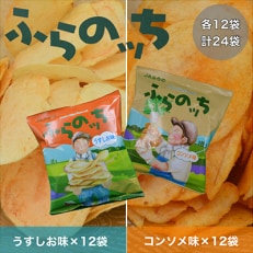 北海道ふらの産　ポテトチップス　ふらのっち【うすしお味・コンソメ味　各12袋】計24袋