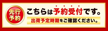 ぶどう 2ヶ月 定期便 [2024年先行予約] シャインマスカット 晴王 約550g 岡山県産《9月上旬-10月中旬頃出荷(土日祝除く)》 ハレノフルーツ マスカット 送料無料 岡山県 浅口市 フルー