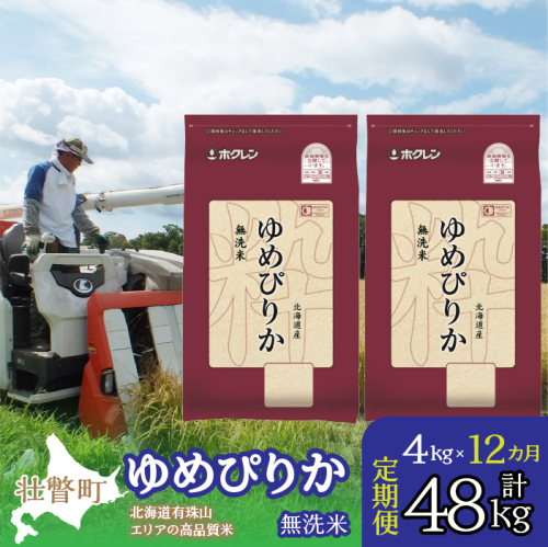 【令和7年産 1年定期配送】（無洗米4kg）ホクレンゆめぴりか（無洗米2kg×2袋） SBTD052