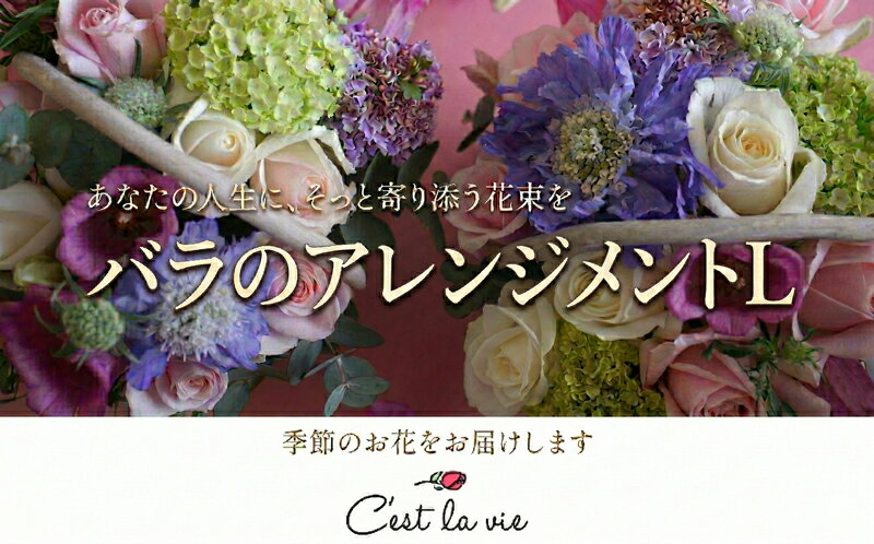 【ふるさと納税】バラ アレンジメント L フレンチスタイル 花 薔薇 お花 生花 フラワー 葉 誕生日 贈り物 季節 植物 記念日 新鮮 ギフト プレゼント 色 お取り寄せ 送料無料 神奈川県 平塚市