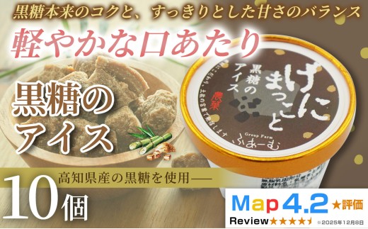 黒糖 アイス 100ml×10個 アイスクリーム 人気 ご当地アイス 高知県 黒糖味 黒砂糖 スイーツ デザート お菓子 おやつ ヘルシー  高知県産  スイーツ 氷菓 手作り 話題 ユニーク 変わり種 ホームパーティー おもてなし 詰め合わせ 贈り物 贈答 冷凍 ギフト プレゼント ロングセラー リピート 安芸市 高知県