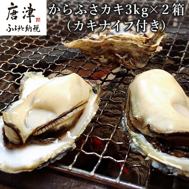 『予約受付』【令和8年3月上旬発送】佐賀県唐津市唐房産 からふさカキ3kg×2箱 (カキナイフ付き) レシピ 牡蠣 貝 BBQ アウトドア