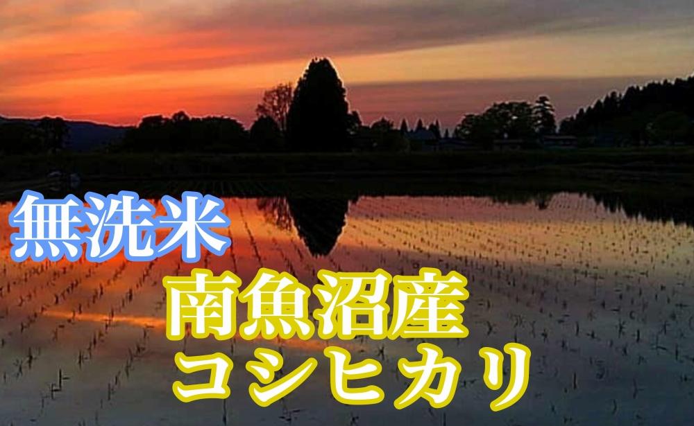 【令和7年産】【定期便4kg×12ヶ月】●吟精 無洗米●南魚沼産コシヒカリ【2025年10月上旬より順次発送予定】