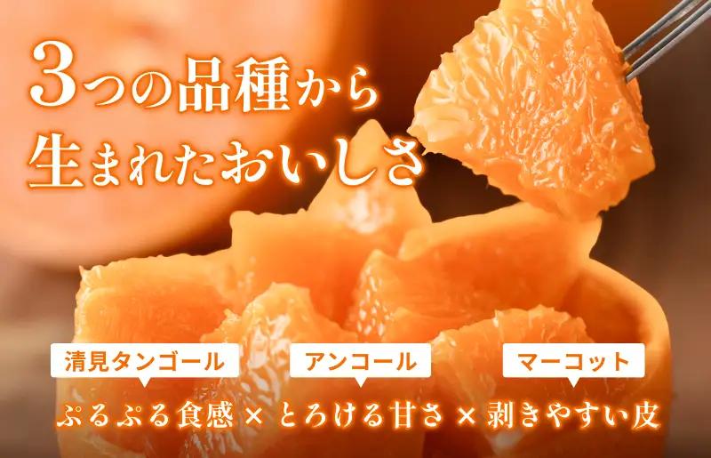 【先行予約】せとか（家庭用）レギュラー箱 約5kg【KC00770】