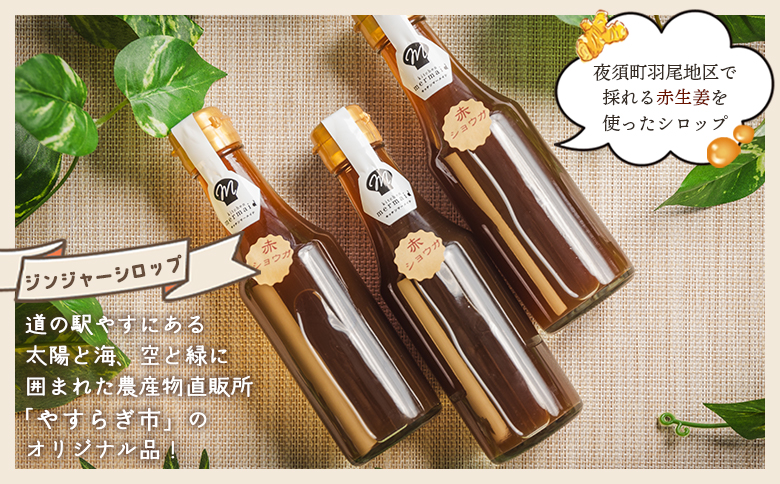 【3回定期便】やすらぎ市 ジンジャーシロップ200ml×5本 - 赤生姜 ショウガ あか しょうが 贈り物 おすそ分け 特産品 ジンジャーエール 料理 調味料 手作りドリンク お菓子 お歳暮 御歳暮 