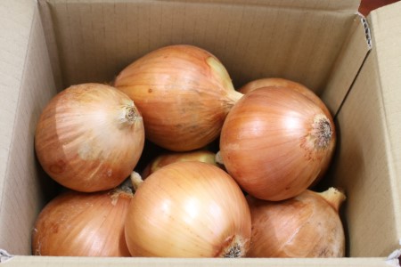 玉ねぎ 1箱 約3kg（L大サイズ）/くろべの太陽/富山県 黒部市 野菜 たまねぎ タマネギ 