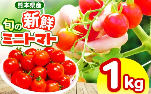 【選べる容量】玉名市産 旬の新鮮ミニトマト 1000g | 野菜 ミニトマト とまと トマト 新鮮 産地直送 熊本県 玉名市