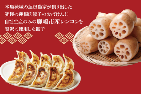 【大容量サイズ】蓮根肉餃子のおばけん【140粒】【野菜 ギョーザ れんこん しゃきしゃき おいしい 大容量 茨城県 鹿嶋市】（KBU-21）