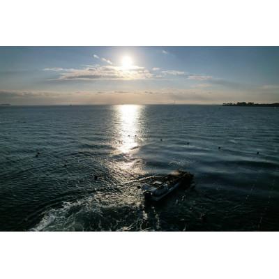 ふるさと納税 南知多町 【日間賀島】一番摘み焼のり |  | 01