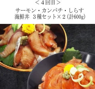 定期便 サケ 鮭 サバ 鰻 うなぎ 海鮮丼 おかず/【全4回】家族みんなで楽しめる＼たっぷり容量ならコレ／絶品おかず定期便（さば・鰻・サケ・海鮮丼）【tkb305】